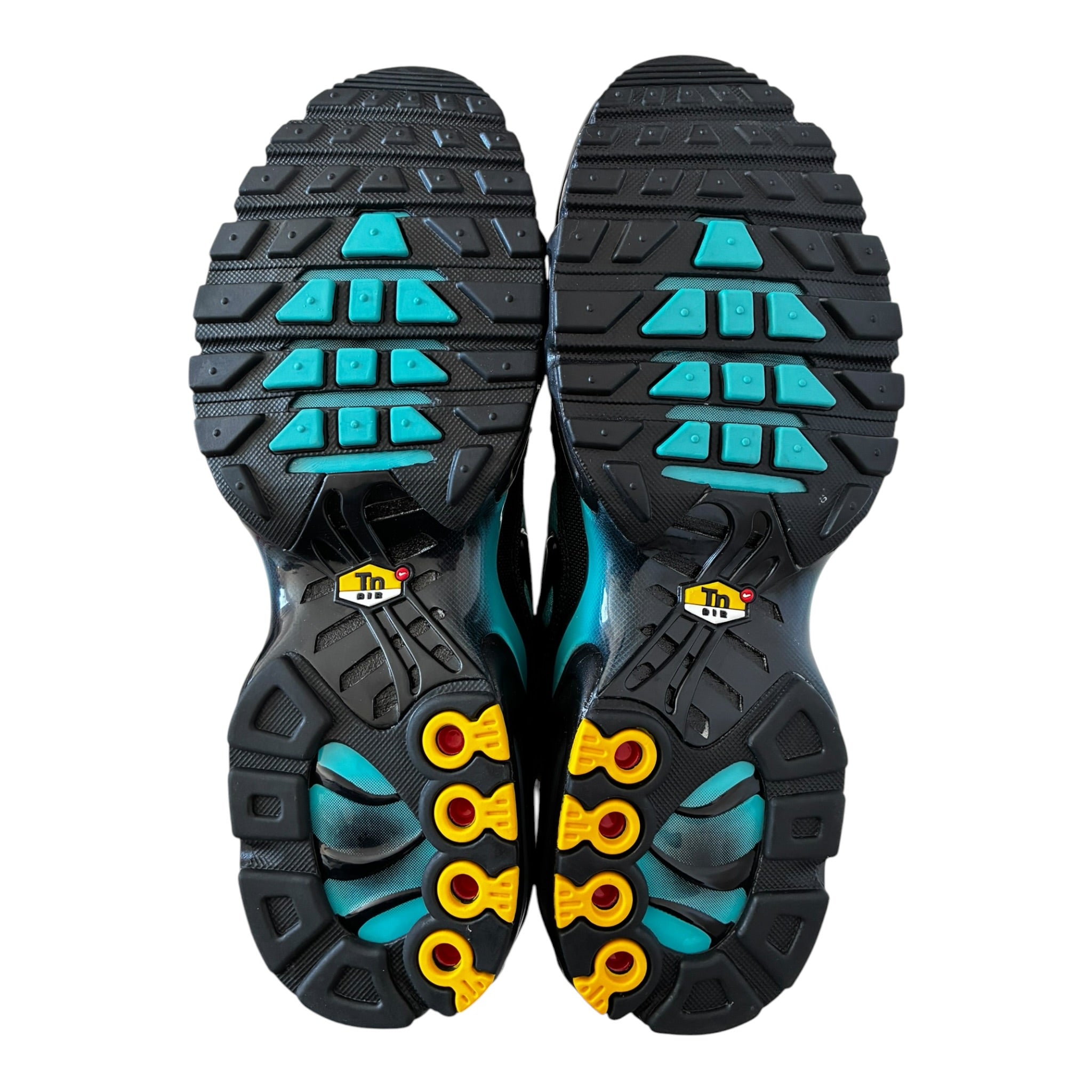 Nike Air Max Plus TN